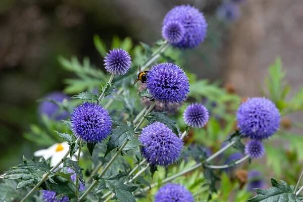 bretagne | Yet Another Blog