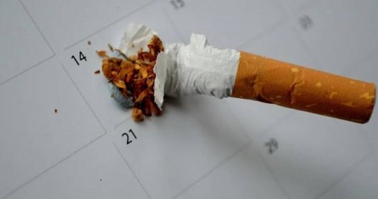 Jste kuřák? S kouřením přestaňte dříve, než se tkáň plic nenávratně znečistí