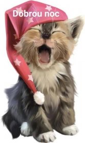 Cool Cats, Cute Cats And Kittens, Silly Cats, Funny Cats, Funny Animals, Christmas Dog Outfits, Christmas Dog Costume, Christmas Dog Collar, Cat Crying