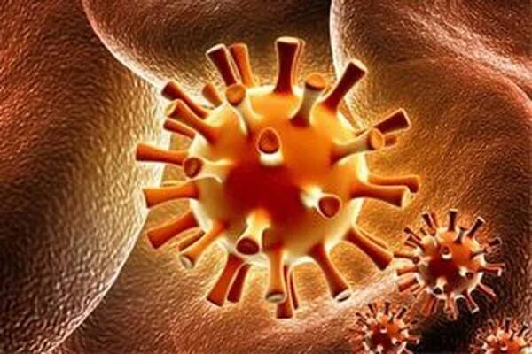 Popis, příznaky a léčba všech typů herpesviru / Herpes | Užitečné informace a tipy na péči o sebe. Zdraví, výživa a další