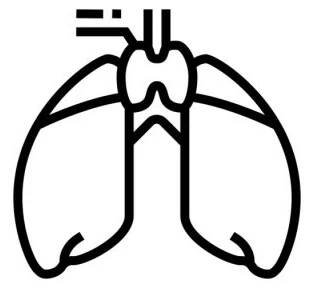 Obraz thymus endocrinology line icon vector. thymus endocrinology sign. isolated contour symbol black illustration
