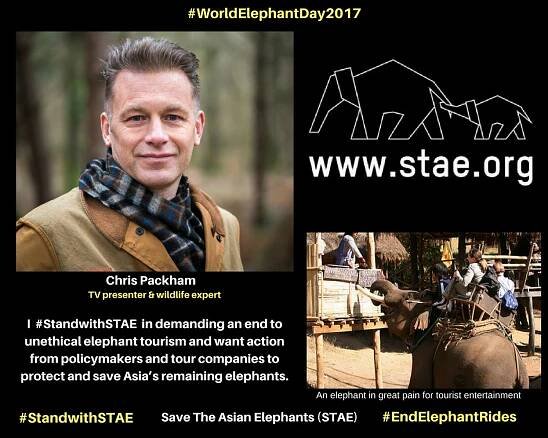 Stand With STAE social media campaign - STAE