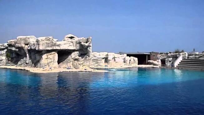 Itálie 2012 - delfinarium Rimini
