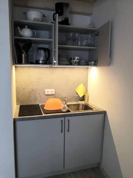 Kuchyň nebo kuchyňský kout v ubytování Swiss House Apartments