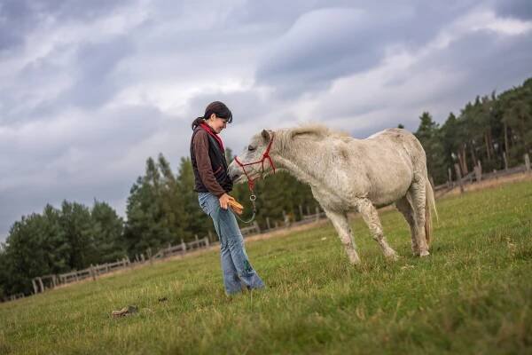 Ranč Bělečko - agroturistická farma - Býšť - Východní-Čechy.info - oficiální turistický portál Pardubického kraje