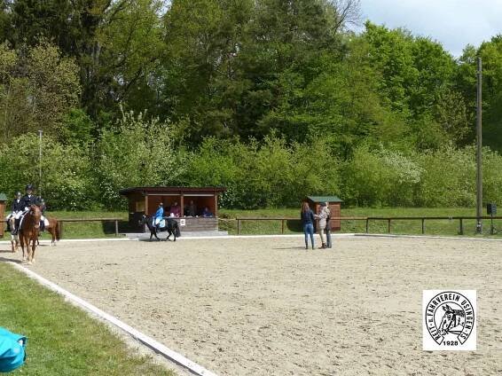 Galerie – Reit- und Fahrverein Usingen/Ts.
