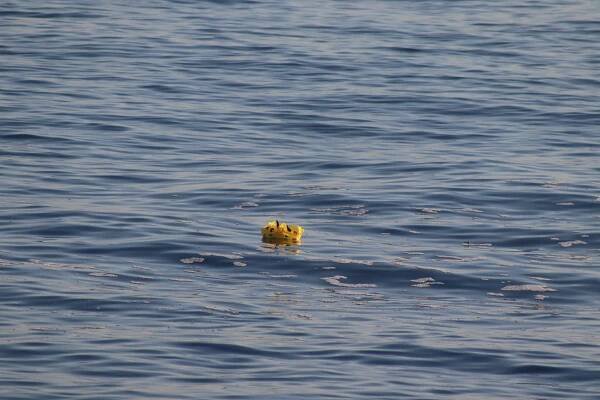 File:Pikachu costume floating on Istambul (May 2025).jpeg - Wikimedia Commons