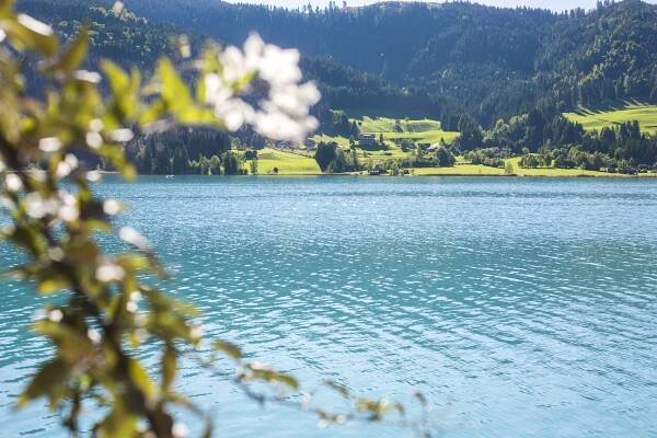 Press B2B Austria: Summer Records in Austria
