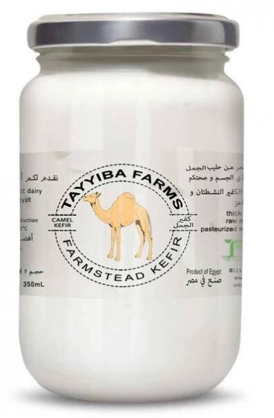Camel Kefir - Raw or Pasteurized 1L