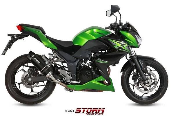 VÝFUKOVÝ TLMIČ STORM GP CARBON END KAWASAKI Z300 - Tuning Motocyklov