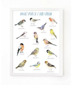 Malí ptáci z krmítka - plakát A3