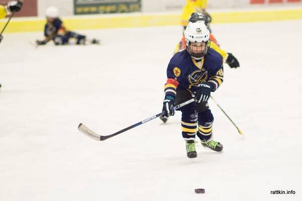 Zápas HC Střelci JH, HC Tábor, HC Motor České Budějovice – rattkin.info