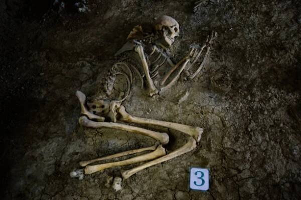 stará lidská kostra ve starověké hrobce při archeologických vykopávkách - exhumace - stock snímky, obrázky a fotky