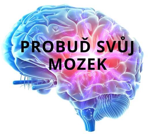 Jak NOOTROPIKA zlepšují zdraví a výkonnost :: Ivana Marková