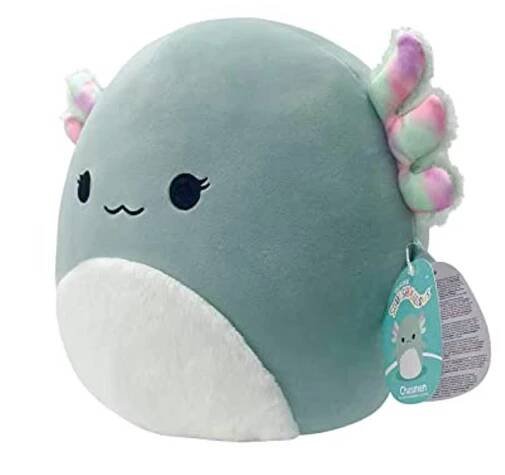 Squishmallows Axolotl Vergleich