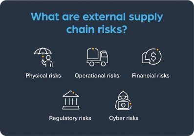 External supply chain risks include physical risks, operational risks, financial risks, regulatory risks and cyber risks.