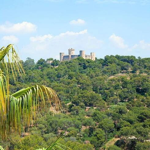 Palma de Mallorca, houses and apartments for sale | Mallorcaresidencia