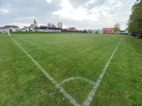 ČUS