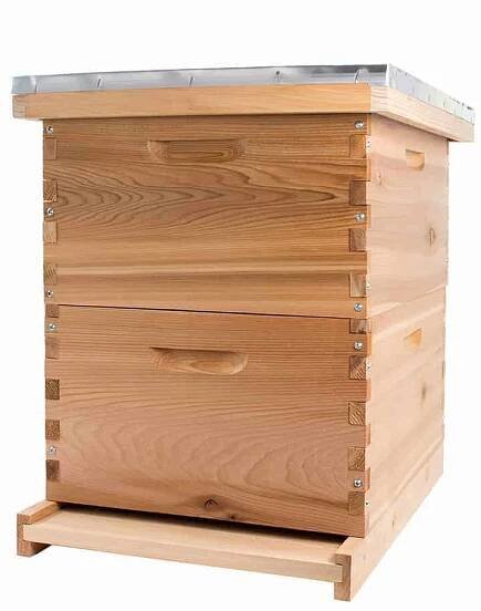 A Detailed Look at The Langstroth Beehive - PerfectBee
