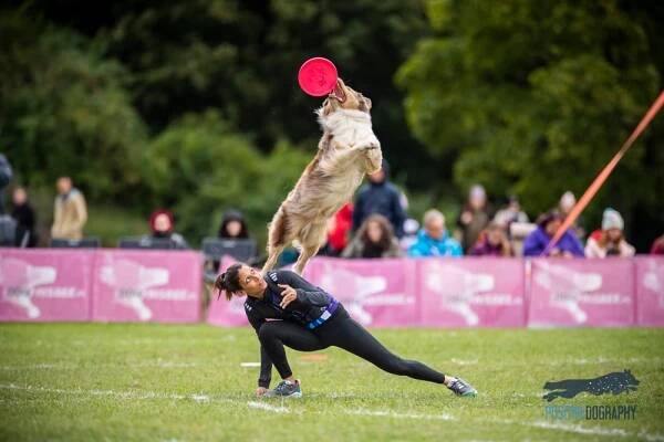 Světové klání v dogfrisbee se poprvé konalo v Evropě!