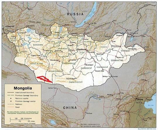 Gobi bear – Bear Conservation