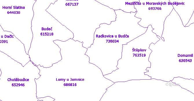 Katastrální mapa Radkovice u Budče