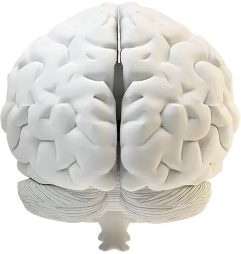 ADHD - Wat is dat nou precies en wat gebeurt er in je brein?