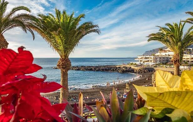 Nordic Walking & Joga Camp na Tenerife - Nordic Walking Klub