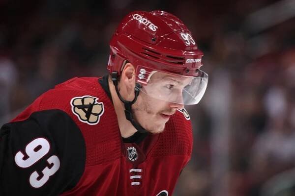 FOTO: Jaškin nastupoval v kanadskoamerické NHL ještě minulou sezonu. – stránka 3