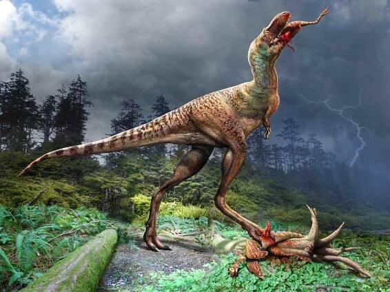 First tyrannosaur fossil discovered with its last meal perfectly preserved in its stomach
