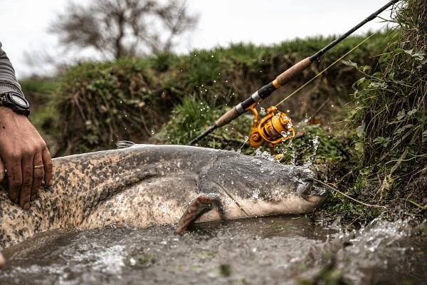 VAGNER Fishing foto 1