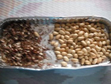 Jak pražit lískové ořechy