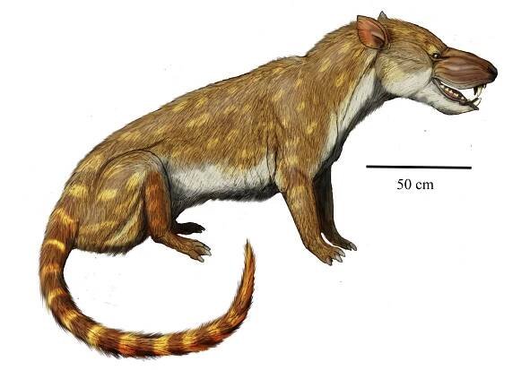 Mongolonyx