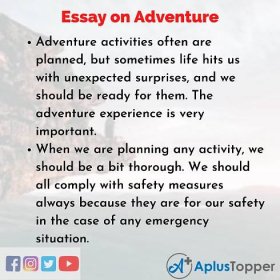 Essay about Adventure