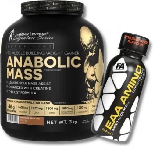 Kevin Levrone ANABOLIC MASS 3000 g