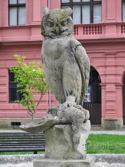 výr velký (bubo bubo)