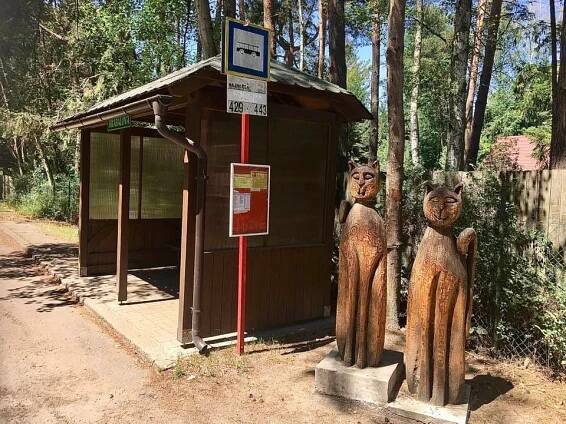 Kersko si zamiloval spisovatel Hrabal. Dáte si kančí se šípkovou, nebo se zelím?