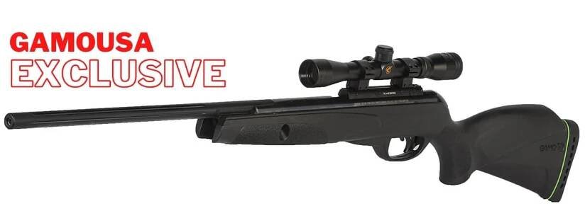 Gamo Varmint Power .22