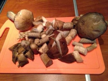 Jak solit houby na zimu: krok za krokem recepty s obrázky