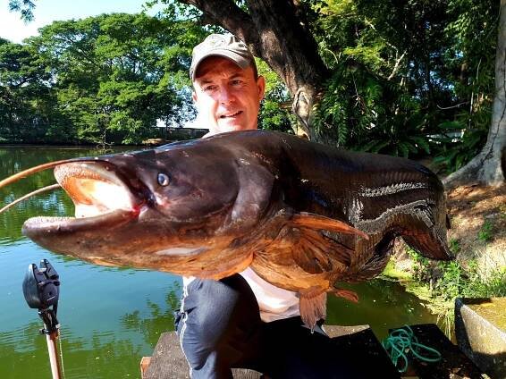 fishing_thailand_wallago_sheatfish_dreamlake_chiang_mai