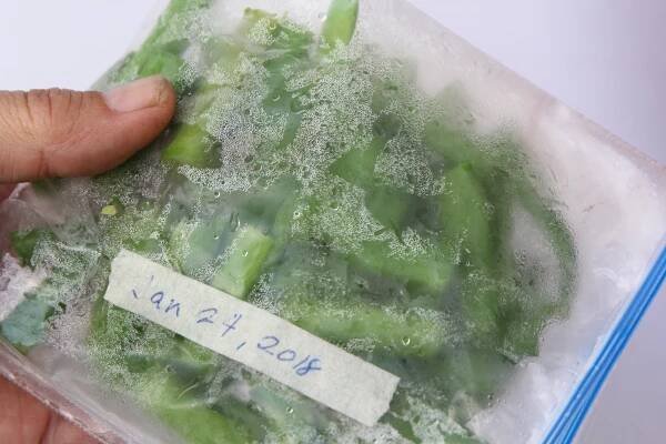 How to Freeze Runner Beans: 13 Steps (with Pictures) - wikiHow