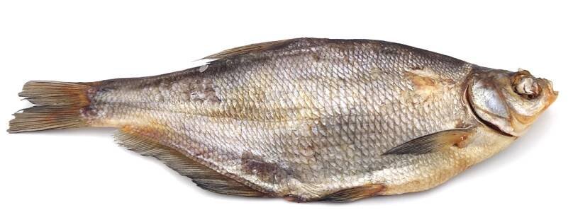 Podoustev říční, sušený 1 kg - Obchod Mozaika Praha