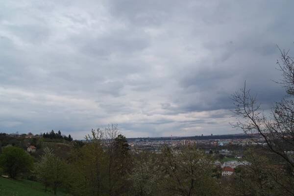 Motyli 22. 4. 2012