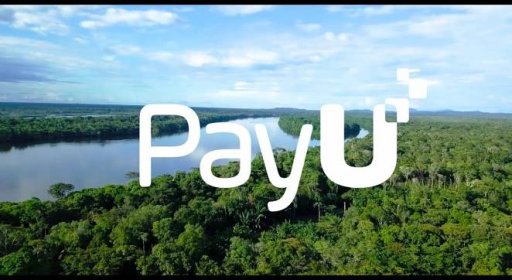 Trees for PayUneers - PayU partners with Saving The Amazon