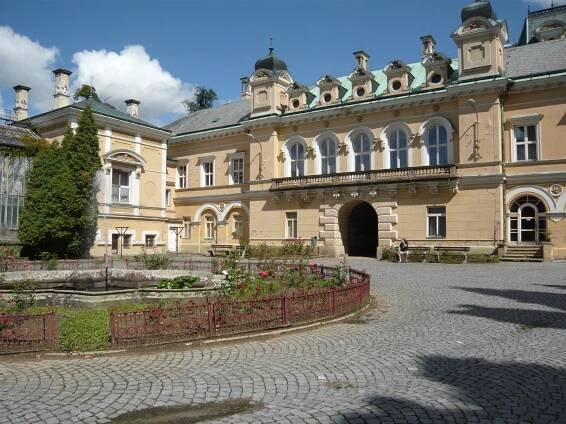 František Josef ze Salm-Reifferscheidtu – Wikipedie