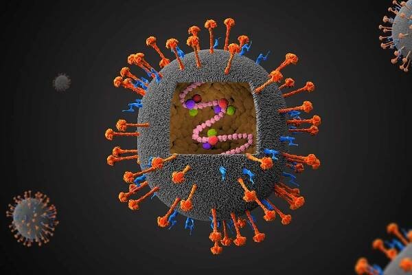 The next pandemic: Nipah virus?