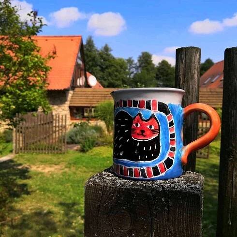 Ubytování Holešice, Staročeská Wellness chalupa Holešice - Jižní Čechy chalupa, 1773