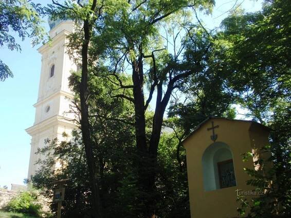 kostel sv. Martina