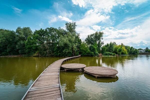 Vestecký rybník – Tomáš Kopecký - Fotografické portfolio