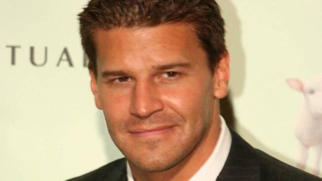 David Boreanaz